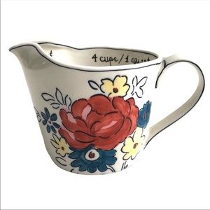 Molly Hatch Anthropologie Measuring Cup and Spoons